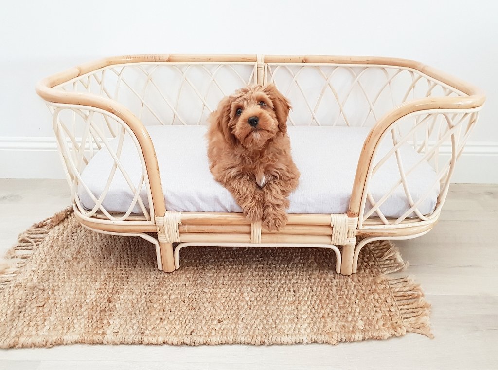 Dog basket